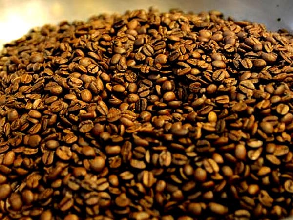 【珈琲】珈琲工房マスターの、白熱コーヒー教室！ ～豆、焙煎、淹れ方レクチャー…京都のコーヒー文化を愉しむ～