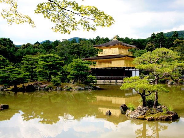 【まいまい大学・庭園III】一から学ぶ日本庭園、美と思想が凝縮された深淵の世界 ～見方・法則・時代性、庭師と極上の名庭を見比べながら～