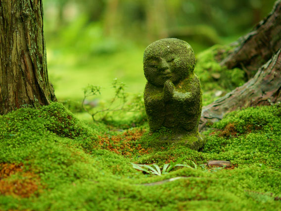 【大原】新緑に包まれる東洋の宝石箱、三千院から乙が森へ～平安の美仏、里に伝わる悲恋の伝説、石楠花が彩る山里さんぽ～