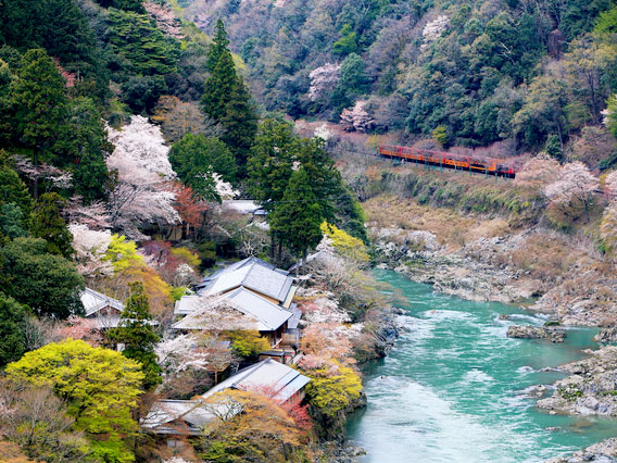 【嵐山】庭師とめぐる桜の嵐山、天龍寺十境・夢窓国師の庭園観～春の花まさに百花繚乱、曹源池庭園から嵐峡の大パノラマまで～