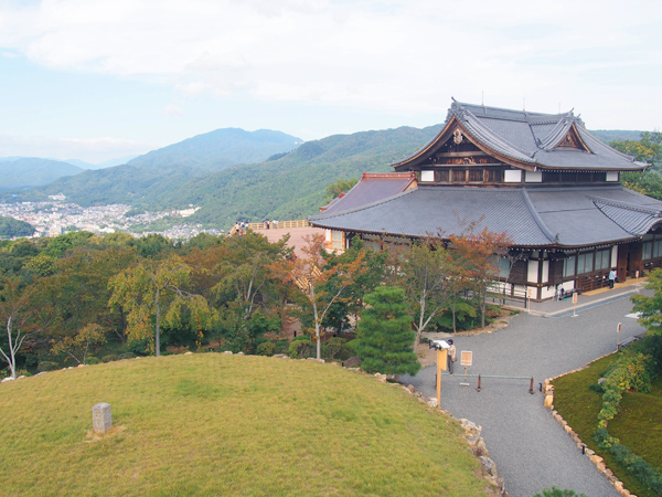 【将軍塚青龍殿】森の案内人と春色トレッキング！知恩院から絶景の大舞台、清水寺へ～樹齢700歳の巨樹と出会い、大名刹が連なる聖域、深い森を越えて～