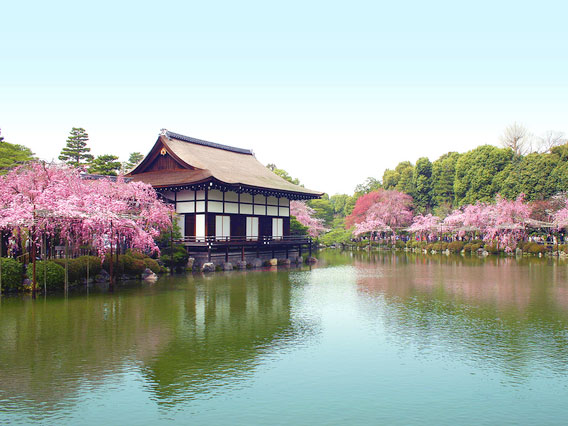 【平安神宮】造園家と神職がWガイド、桜の平安神宮オモテもウラもご案内～七代目小川治兵衛3つの神苑、尚美館、平安神宮会館、非公開エリアまで～