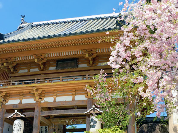 【総持寺】仏像ナビゲーターと、不思議な不思議な亀乗り観音さまに会いにいこ！～年に一度の秘仏本尊特別御開扉、西国三十三所お砂踏み～