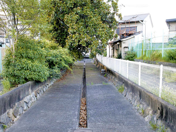 【高瀬川】さよなら高瀬川旧流路！廃河川探検家・玉ちゃんと崇仁地区を巡る～橋、護岸、船止め石、巨大舟入「内浜」！消えゆく廃河川を見届けよ～