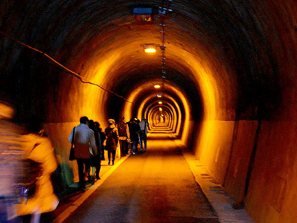 【愛宕山鉄道】廃線ウォッチャーと巡る愛宕山鉄道平坦線、戦前栄華の痕跡～今は無き遊園地、東洋一のケーブルカー…幻の愛宕山リゾートを訪ねて～
