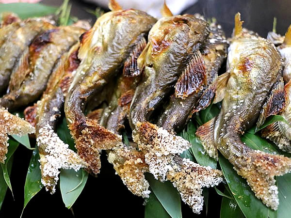 【貴船川床】貴船社家の女将と巡る奥貴船、鮎と山菜しゃぶしゃぶに舌鼓～神主さんと貴船神社から奥宮の聖地へ、清流に包まれて川床料理～