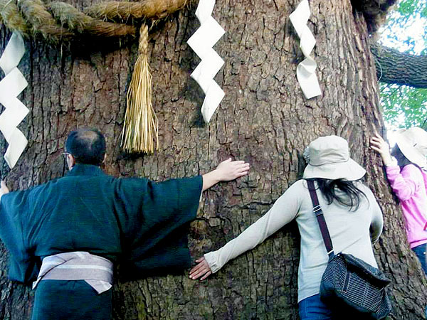 【今熊野】神社ガイドと、崖の上の聖地・新熊野神社へ～残る巨大苑池の断崖、樹齢900年の大楠、京の熊野古道をいく～