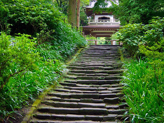 【北鎌倉】庭師といく鎌倉・新緑の古寺巡礼、谷戸地形が生んだ仏の空間～壮麗な禅宗伽藍と庭園、鎌倉時代から生きる禅の巨木、円覚寺から浄智寺へ～