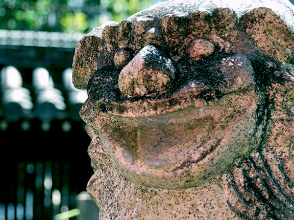 【狛犬】秀犬、猛犬、珍犬、駄犬…狛犬研究者とコマイヌ生態観察～名石工・石茂あらわる！可愛すぎる浪花狛犬、イカつい古代式狛犬まで～