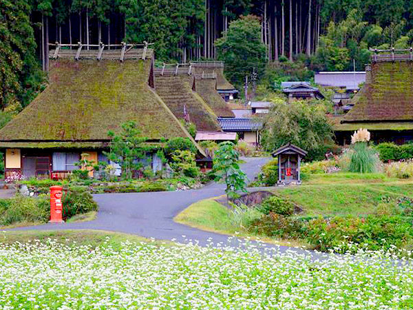 【美山】男前棟梁と美山を満喫バスツアー！茅葺き職人のお仕事拝見～山深き谷あいに広がる茅葺きの里、清流を望む老舗旅館で美山の食に舌鼓～