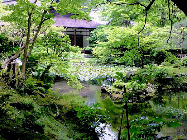 【南禅寺奥の院】御用庭師といく神仙佳境の霊地、南禅寺の最奥へ～青もみじが包む南禅院、巨岩そそり立つ駒ヶ滝、名景に秘められた庭師の思い～