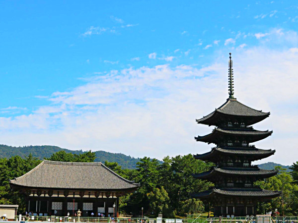 【奈良】タモリさんを案内したガイドと、奈良の高低差凸凹ツアー～断層！礎石ロマン！商店街を貫く谷！古代遺跡と共存するまち～