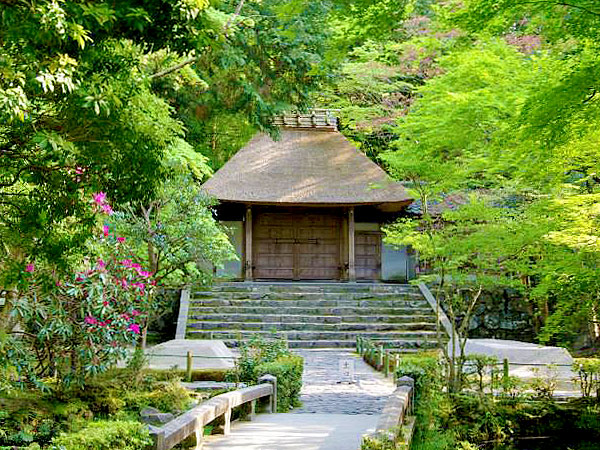 【哲学の道】古刹をつなぐ疏水べりの散歩道、岡崎神社から法然院まで ～兎・ねずみ・猿…可愛い神使の社寺めぐり、緑きらめく小径をいく～