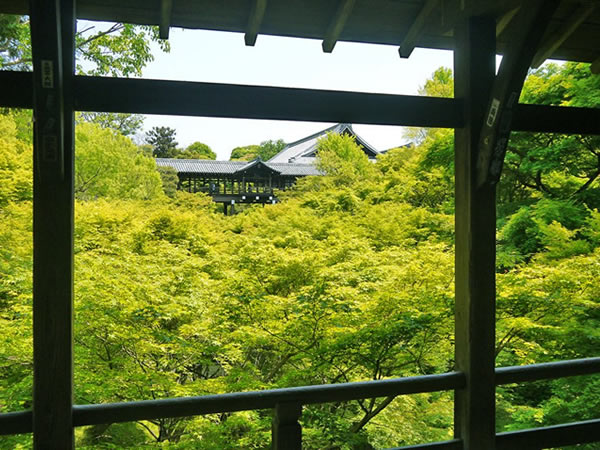 【東福寺】庭師とめぐる東福寺、青もみじの大海を渡る～三浦が贈るマイベスト新緑、相対する池泉式庭園と枯山水～