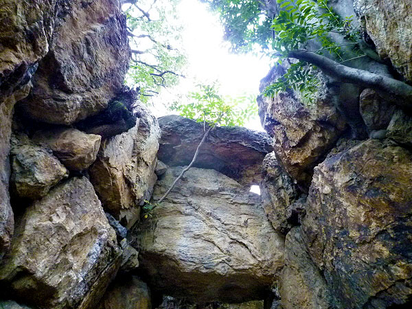 【太秦】考古学者と古墳にコーフン！前方後円墳の内部を探検しよう ～京都最大の古墳！蛇塚から天塚、古代豪族の聖地をめぐる～