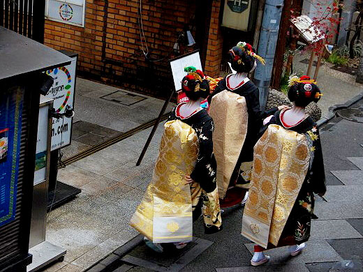 【先斗町】祇園の旅館支配人と「ぞめく」、謎に満ちた花街物語～革新的な先斗町から、しきたりの祇園町まで～