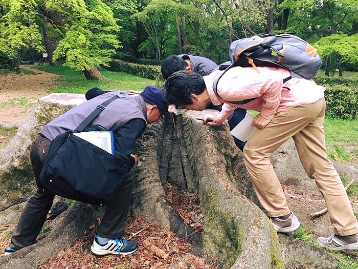 グッと近づいて見てみる