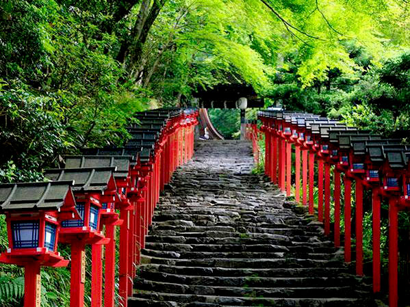 【鞍馬・貴船】森の案内人といく京の奥座敷、鞍馬寺から貴船神社へ～鴨川が生まれる聖地、天狗跳び龍が棲む神々の森～
