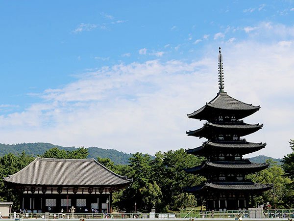 【奈良】タモリさんを案内したガイドと、奈良の高低差凸凹ツアー～断層！礎石ロマン！商店街を貫く谷！古代遺跡と共存するまち～