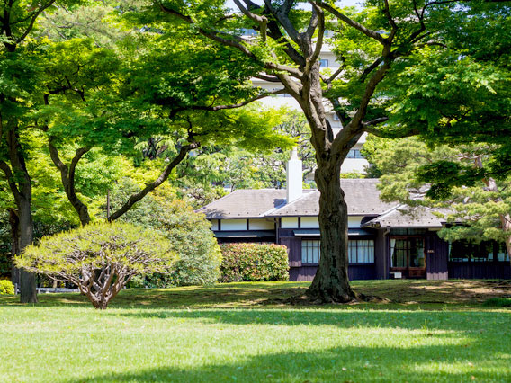 【国分寺】多摩武蔵野スリバチ学会ツアー！国分寺崖線とハケの湧き水が生んだ街～古代、関東の中心はなぜここに！？幻の巨大寺院、春の別荘庭園を訪ねて～
