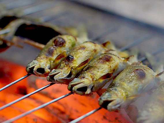 【鳥居本】京の奥座敷・老舗の料亭を食べ歩き、鳥居本の旬をいただく～鮎の宿つたやの鮎懐石、平野屋の志んこ、泉仙のわらび餅まで～