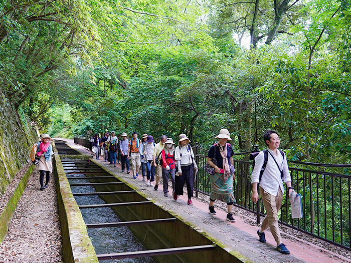 レンガを求めて疎水べり