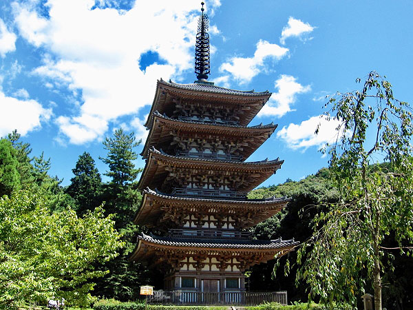 【醍醐寺】山全体に80もの堂宇が立ち並ぶ！森の案内人と総本山醍醐寺へ～日本一美しい五重塔、絢爛豪華な覇者の庭、山上の国宝建築群まで～