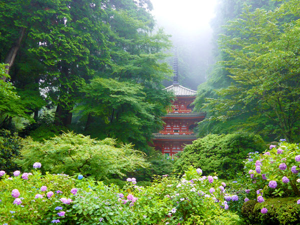 【南山城】南山城・秋の古寺巡礼、岩船寺から浄瑠璃寺へ～静かな山あいに咲いた極楽浄土の夢、石仏めぐりと九体阿弥陀如来～