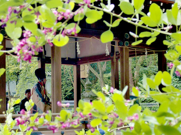 【萩まつり】秋を告げる梨木神社の萩まつり、志士たちが駆けた幕末の御所東へ～大久保・西郷・勝海舟…暗躍の舞台！旧九条邸から萩の宮、萩の寺まで～