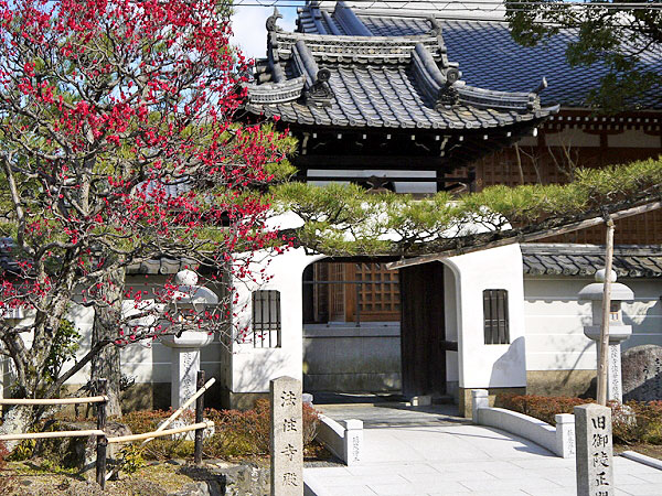 【東山】考古学者とめぐる、愛憎渦巻く法住寺殿・平家物語の世界へ～法皇と愛した女性が眠る、東山の麓に誕生した広大な離宮～