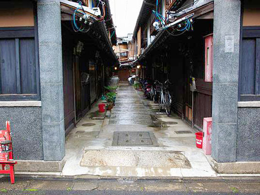 【西陣】古武邸当主と、乱世が生んだ織物の街へ！西陣の商家レクチャー付き～織屋連なる路地・辻子めぐり、室町時代から続く織物司、雨宝院から岩神さんまで～