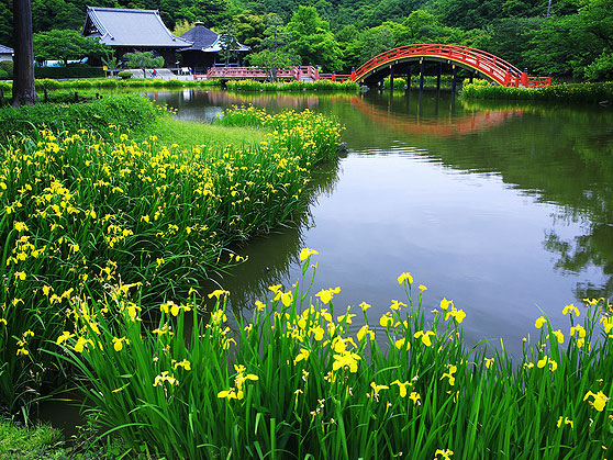 【称名寺】庭師と巡る浄土庭園、海と三山に囲まれた鎌倉武士の極楽世界～関東最大の金剛力士、八景島を望む大パノラマ、都会に残る静かな聖域へ～