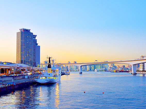 【東京湾】都市史学者と貸切クルーズツアー！水の都・東京の運河をいく～船でしか眺められない絶景、日々変化する東京ウォーターフロントへ～
