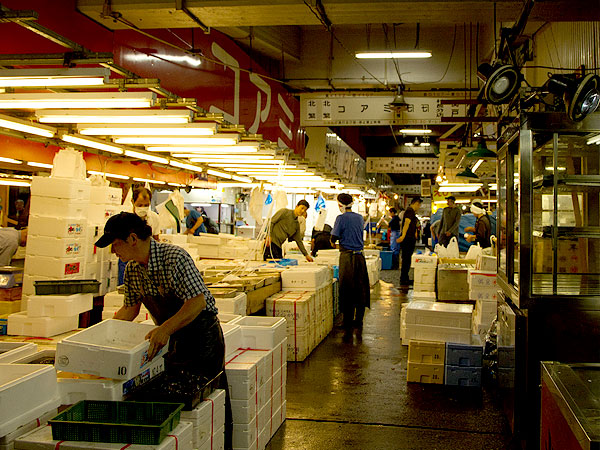 【築地・佃島】江戸っ子・稲ちゃんと、路地と魚河岸ともんじゃ焼きの下町めぐり～移転直前の築地市場へ！築地本願寺を参拝、家康を助けた漁師たちの島まで～