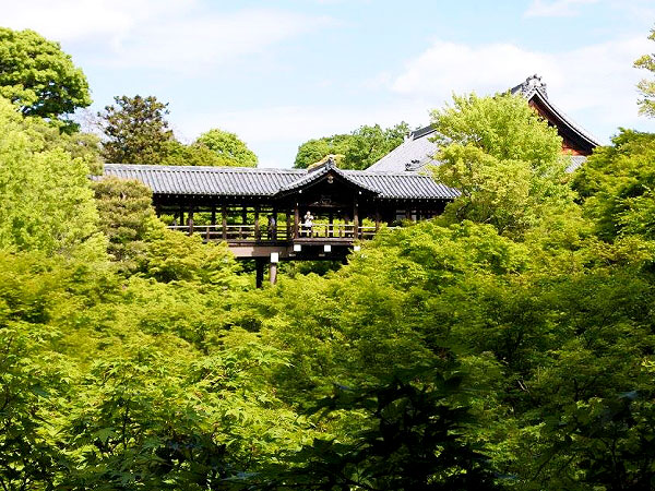 【伏見街道】廃河川探検家・玉ちゃんといく崖上の聖地、幻の3河川を捜せ～川が消えても地形は忘れていなかった！青もみじの渓谷から“一ノ谷”まで～