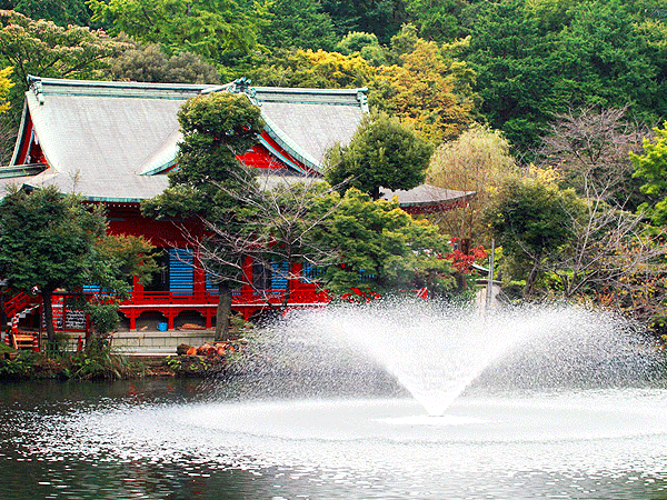 【吉祥寺】タモリさんを案内したガイドと、水源の町・吉祥寺凹凸ツアー！～なぜ人は吉祥寺に住みたがるのか！？窪地にできた、武蔵野台地のオアシスへ～