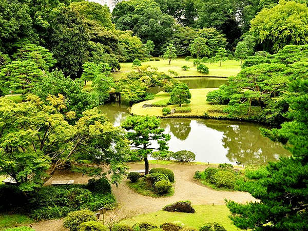 【六義園】庭師と巡る江戸大正2つの極上庭園、東京は庭園都市だった！～殿さまのテーマパーク・六義園と、和と洋の融合・古河男爵の近代庭園へ～