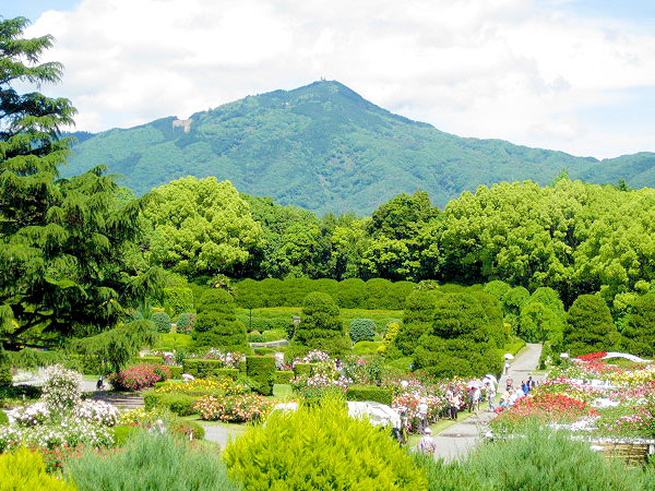 【京都府立植物園】森の案内人と珍木巨木の楽園へ！日本一の植物園☆偏愛ツアー～世界一高くなる巨樹、恐竜時代のジュラシックツリー、世界の木々が大集合～