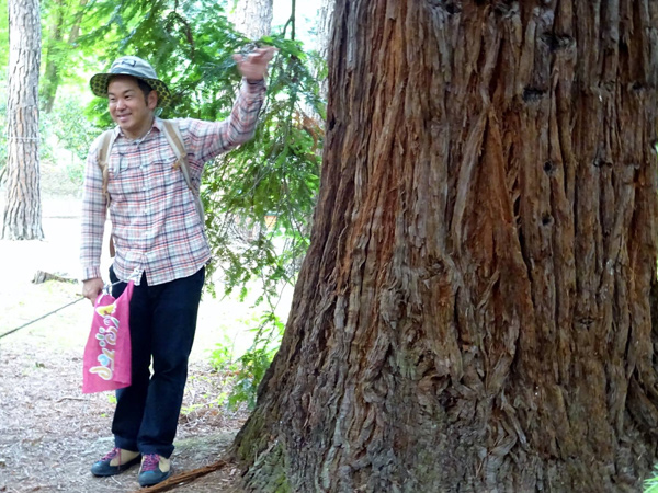 【京都府立植物園】森の案内人と珍木巨木の楽園へ！日本一の植物園☆偏愛ツアー～世界一高くなる巨樹、恐竜時代のジュラシックツリー、世界の木々が大集合～