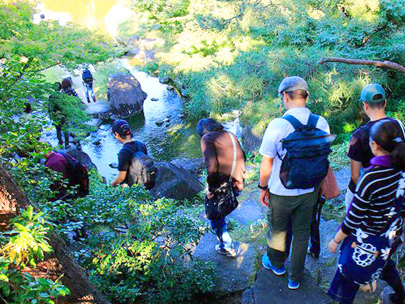 【京都駅の森】まちなか植物ウォッチング！森目線で駅ビルから梅小路公園へ～京都駅すぐそばに原生林が！？大滝、花床、森復活を企む木々たち～