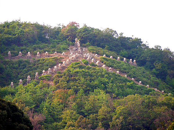 【左大文字】普段は入山禁止の金閣寺大北山へ！火床から絶景大パノラマ～松明行列のお町内、貴重な消し炭を拝見、左大文字を守る法音寺～