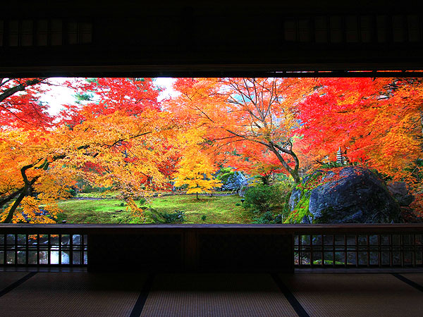 【宝厳院】錦秋が包む名庭を特別貸切、静かな朝に訪れた紅葉絵巻～朱に燃える障壁画、通常非公開の書院から獅子吼の庭を望む～