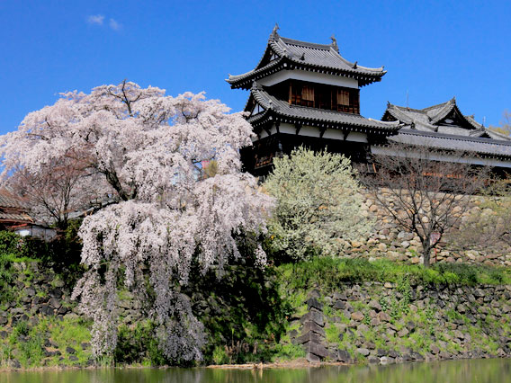 【大和郡山】城マニアと巡る、百万石・豊臣氏の巨城から旧遊郭へ～今も残る土塁と堀で囲まれた、大和最大の城下町～