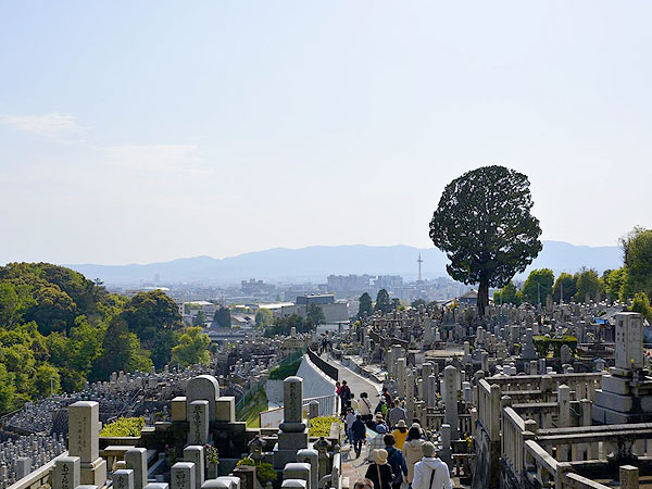 【清水寺】タモリさんを案内したガイドと、生と死が交わる清水の地へ～人はなぜ清水を目指す？観音様が座す地形、断層がつくる京都の世界観～