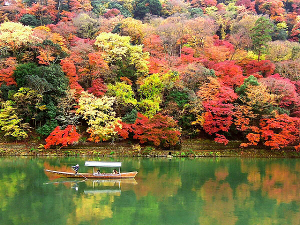 【嵐山】庭師とめぐる錦秋の嵐山、天龍寺十境・夢窓国師の庭園観～紅葉に染まる天下の絶景、曹源池庭園から嵐峡の大パノラマまで～