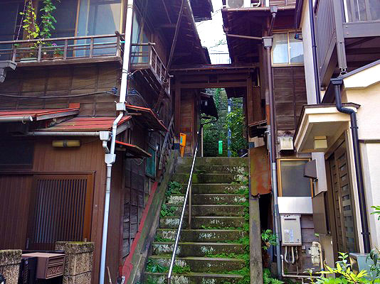 【本郷台地】都市史研究者といく文京カルチェラタン、東大・建築・坂道めぐり～文豪が暮らした路地、渓谷の商店街、戦災を免れた旧家連なる高台へ～