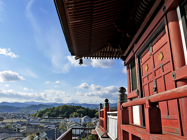 【上高野】神社ガイドと秋彩に染まる古社巡礼、古代出雲族の聖地へ～三宅八幡宮、崇道神社、伊多太神社、おかいらの森まで～