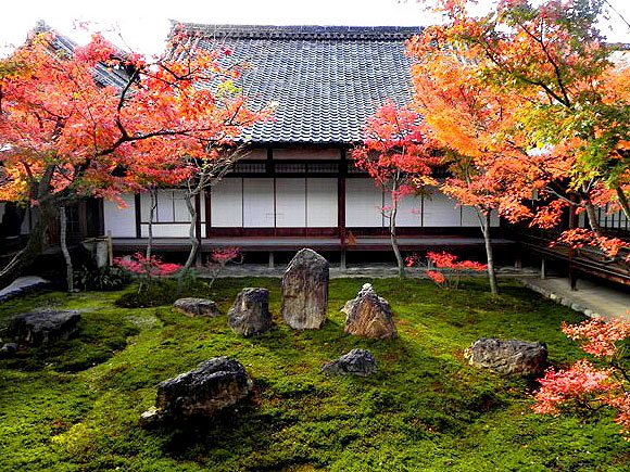 【東山】穴場の紅葉・庭園めぐり、建仁寺の潮音庭と正伝永源院へ～圧巻の双龍図、如庵写しの茶室、細川元首相・秋冬の襖絵まで～