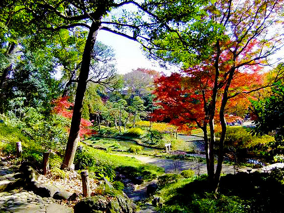 【小石川後楽園】秋色に染まる水戸黄門の大庭園、庭師と巡る江戸の庭園美～嵐山・西湖の堤・田園の里…日本と中国の名景をドラマチックに詰め込んだ～