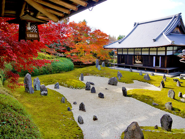 【東福寺】三浦が贈る、秋の欲張り三連発！圧巻の名所から穴場まで～樹齢900年！京都一の巨木、真っ赤な渓谷、虹の苔寺・重森三玲の芸術庭園～